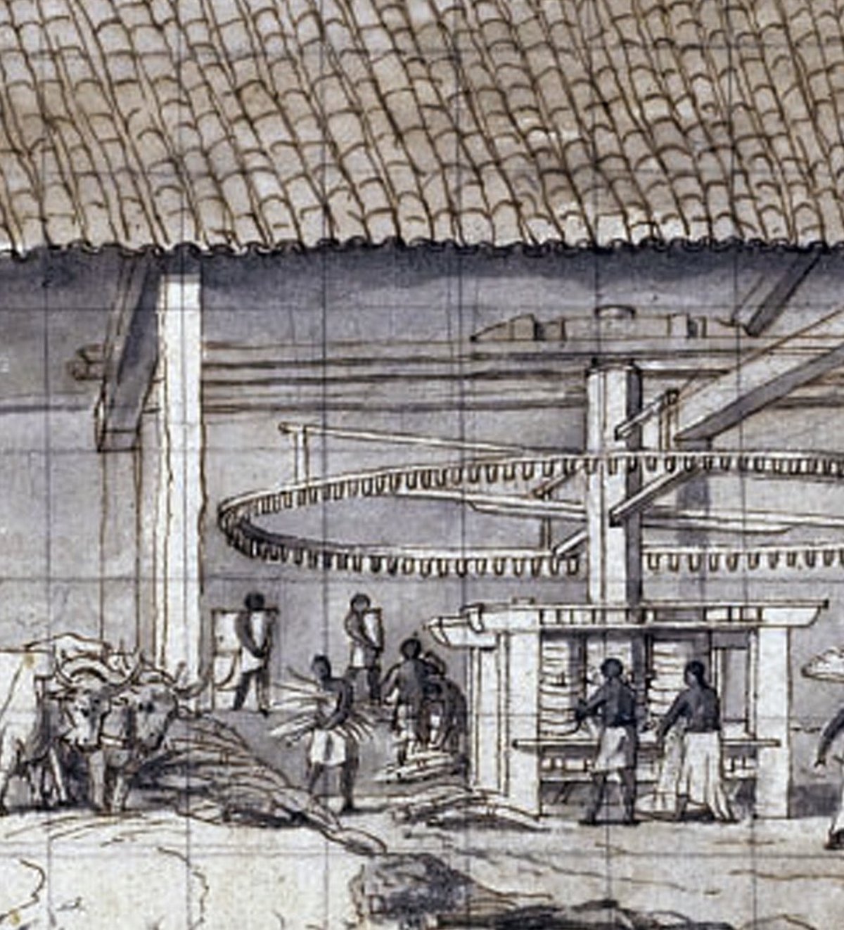 The Sugar Mill Origin and Evolution, Part 4 Got Rum? Magazine